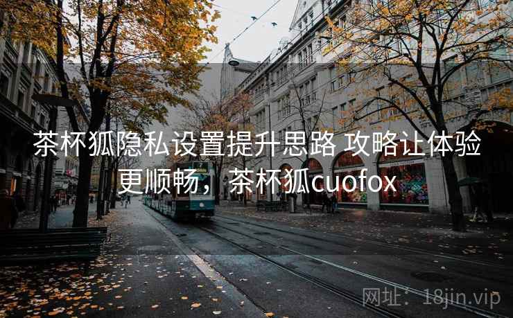 茶杯狐隐私设置提升思路 攻略让体验更顺畅，茶杯狐cuofox