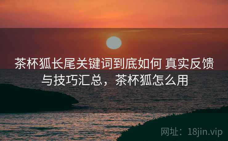 茶杯狐长尾关键词到底如何 真实反馈与技巧汇总,茶杯狐怎么用 茶杯狐长尾关键词到底如何 真实反馈与技巧汇总,茶杯狐怎么用