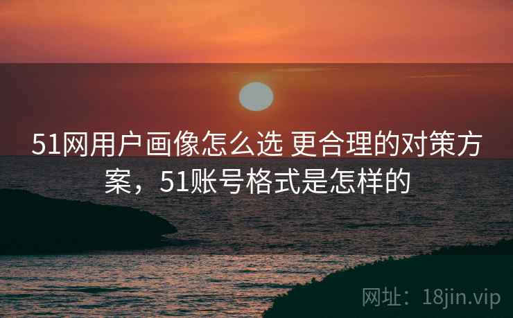 51网用户画像怎么选 更合理的对策方案，51账号格式是怎样的