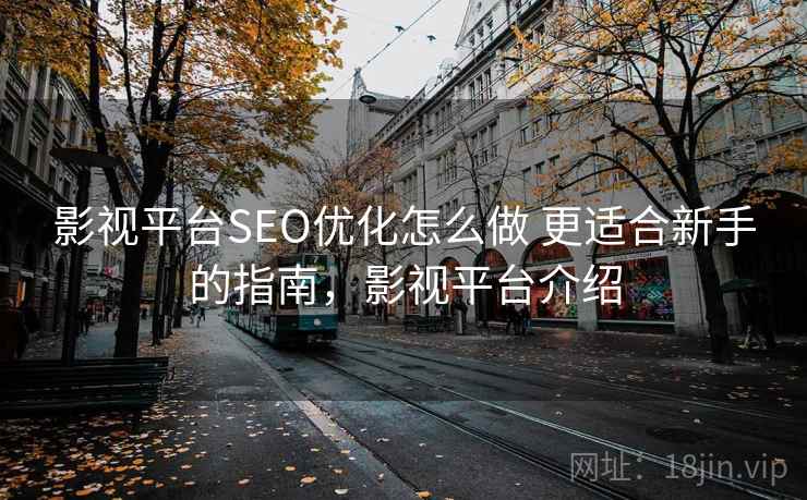 影视平台SEO优化怎么做 更适合新手的指南，影视平台介绍