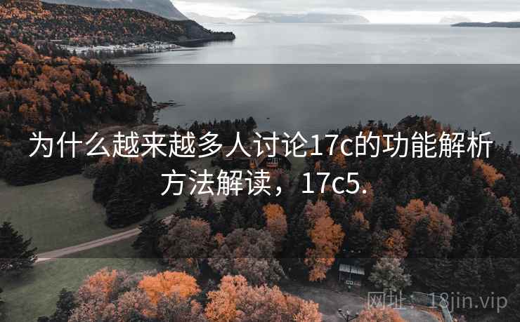 为什么越来越多人讨论17c的功能解析 方法解读，17c5.