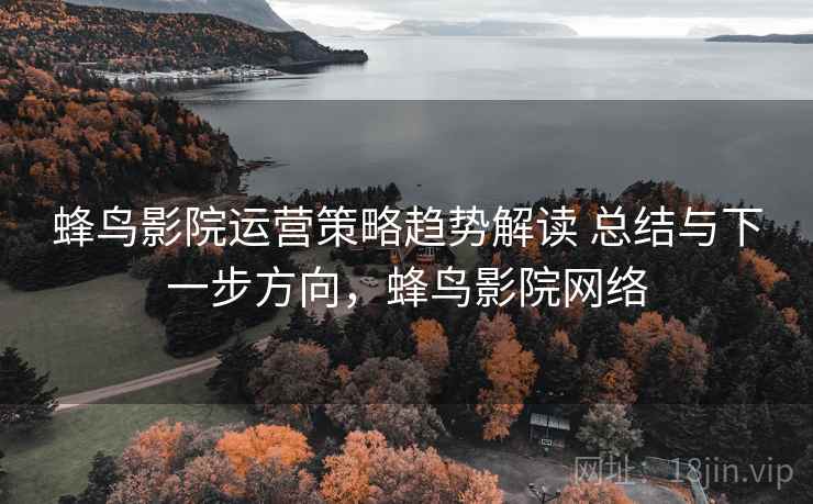 蜂鸟影院运营策略趋势解读 总结与下一步方向,蜂鸟影院网络 蜂鸟影院运营策略趋势解读 总结与下一步方向,蜂鸟影院网络