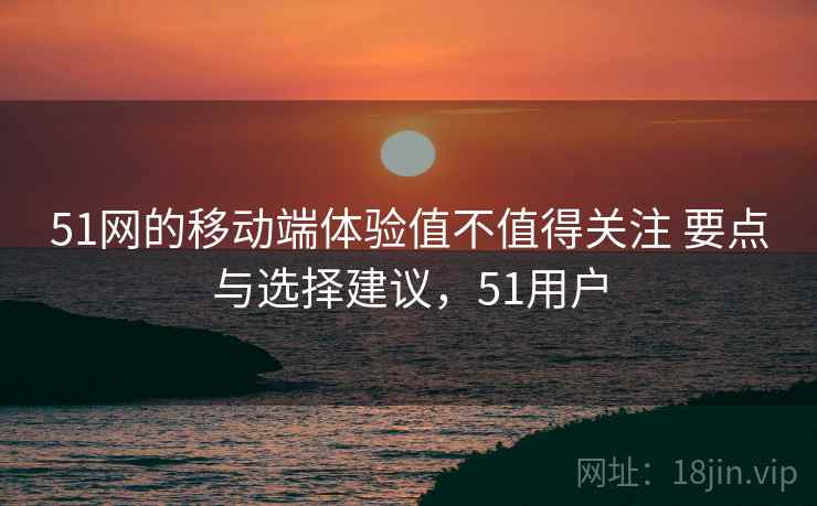 51网的移动端体验值不值得关注 要点与选择建议，51用户