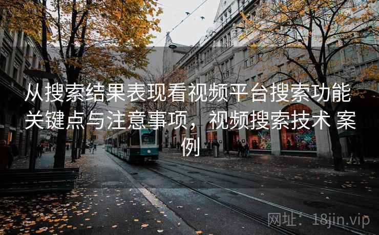 从搜索结果表现看视频平台搜索功能 关键点与注意事项，视频搜索技术 案例